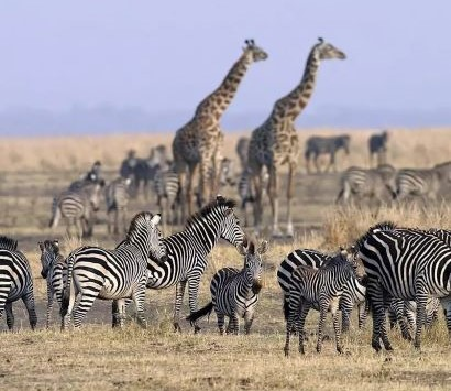 Western Tanzania