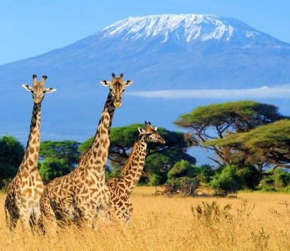 Northern Tanzania